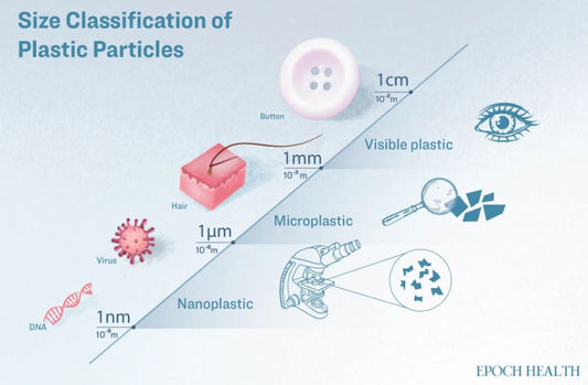 What Can Be Done to Prevent DNA-Sized Plastics From Invading Our Bodies?